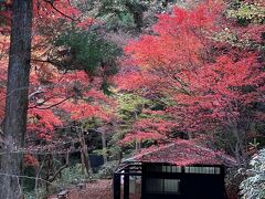 紅葉と日本酒の新潟の旅、後半。