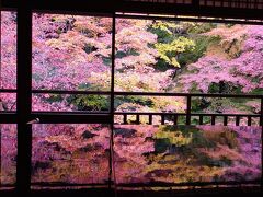 紅葉を求めて京都～奈良～滋賀  ２日目 万華鏡の様な紅葉 瑠璃光院