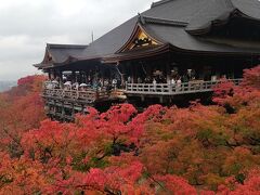 紅葉を求めて京都～奈良～滋賀 4日目