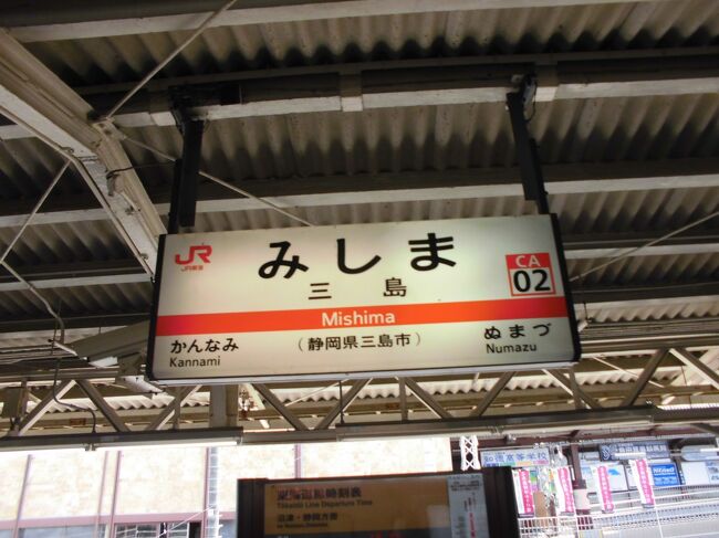三島駅を下車して柿田川に向かいました。今回は三島駅周辺を散策しています。