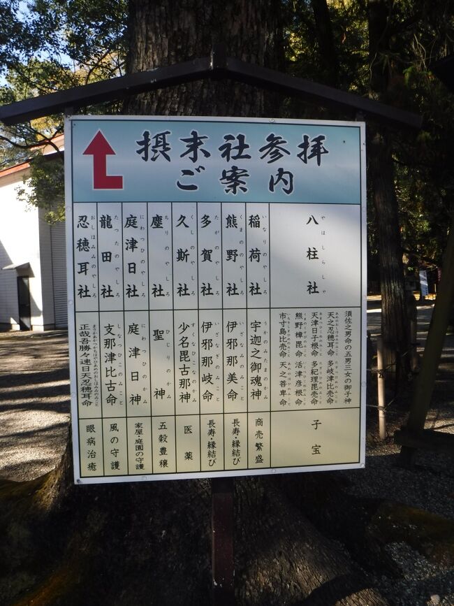 小春日和に誘われて津島神社へ。その３