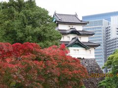 皇居・乾通りを歩きました①富士見櫓付近まで