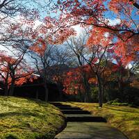 秋の箱根から湯河原へその1　ピーク過ぎでもこの美しさ！箱根の紅葉名所めぐり