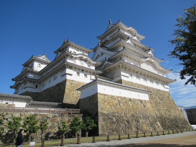 クラブツーリズムの「 雲海に浮かぶ絶景の山城:備中松山城、秋色の津山城、旧閑谷学校、岡山後楽園 2日間」というツアーに一人参加しました。<br /><br />一番の目的は雲海に浮かぶ紅葉の山城「備中松山城」。<br />交通の便の悪い山中の城へは、お城の麓に宿泊して朝イチで向かえるこのツアーの方が個人で行くより断然効率的だと思い参加を決めました。<br /><br />でも、折角飛行機に乗って岡山まで行くのに、1泊で帰って来るのではいかにも勿体ない。<br />そこで、最終観光地の岡山後楽園でツアーを離団し、引き続き姫路城下に2泊する個人旅行に切り替えました。<br /><br />前編の「ツアー編」に続きこの「離団編」では<br />●姫路城<br />●好古園の紅葉とライトアップ<br />●書寫山圓教寺<br />●姫路グルメの食べ歩き・・<br />2泊3日で巡る姫路での旅のアウトラインをざっと記してみたいと思います。<br /><br />実は、姫路城には今年10月1日にもツアーで来ているのです。<br />https://4travel.jp/travelogue/11782211<br /><br />2ヵ月も経たずに今回の再訪ですが、その時は自由ランチ時間も含めて120分の姫路滞在でした。<br />そんな短時間ではお城もゆっくり見られなかったし、周辺観光地や姫路グルメも全く論外の駆け足日程でした。<br />交通の便のいい大都市に在るお城には絶対に個人旅行で来なければとその時つくづく思いました。<br /><br />で、全国旅行支援の恩恵もある今、ツアーで行きたいお城と、個人旅行でリベンジしたい姫路城を組み合わせ、今回の3泊4日の旅になりました。