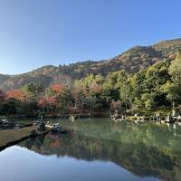 京都・嵐山の紅葉めぐり（３）　～天龍寺、保津峡下り、東寺～