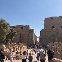 家族で満喫した素晴らしいエジプト旅行、個人手配　①　ルクソール観光