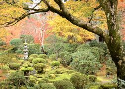 4トラ活動再開記念！？紅葉の京都へ！2日目(その①)は美しすぎる～！錦秋の大原三千院！