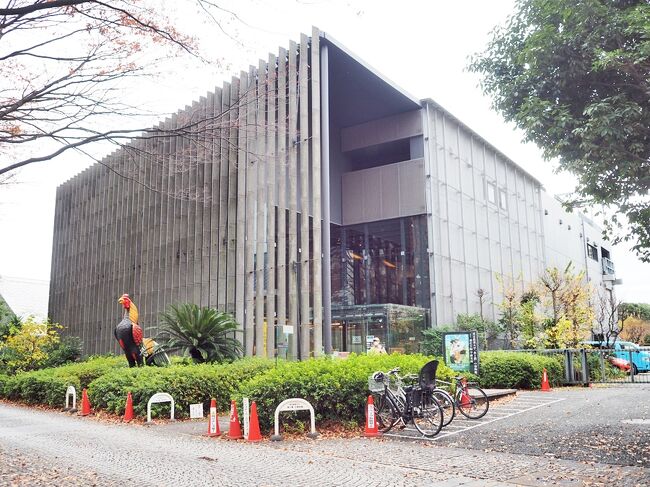 明日から寒くなるというので、農大の「食と農の博物館食と農の博物館」の建物を見に行ってきました。2004年に設立されたこの建物は芦野石を使ったルーバーが特徴で、今年で18年経ってルーバーの色がどう変化しているのかも興味がありました。素材の選択では、「エイジング」をテーマとして、時と共に色合いが美しく変化する自然の素材を用いているという隈研吾氏の設計の特色を見てきました。<br />農大により一般法人進化生物学研究所の協力のもとに開館しました。異本の博物館の父と称される田中芳男氏が明治37年(1904)に設置した標本室に遡ります。<br />バイオリウムは、昭和25年(1950)に「東京農大農学科教授近藤典生博士が設立した東京農大育種学研究所を母体として、昭和49年(1974)に財団法人として認可を受けたという。<br />農大の建学精神「人物を畑に還す」に即した展示がされています。