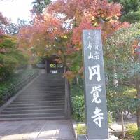 鎌倉で紅葉狩り ①