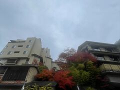 2022.11月伊香保温泉　お宿玉樹