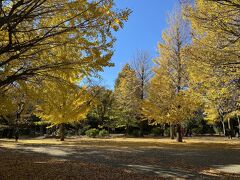 2022年11月　晩秋の東京の紅葉（練馬区氷川台）