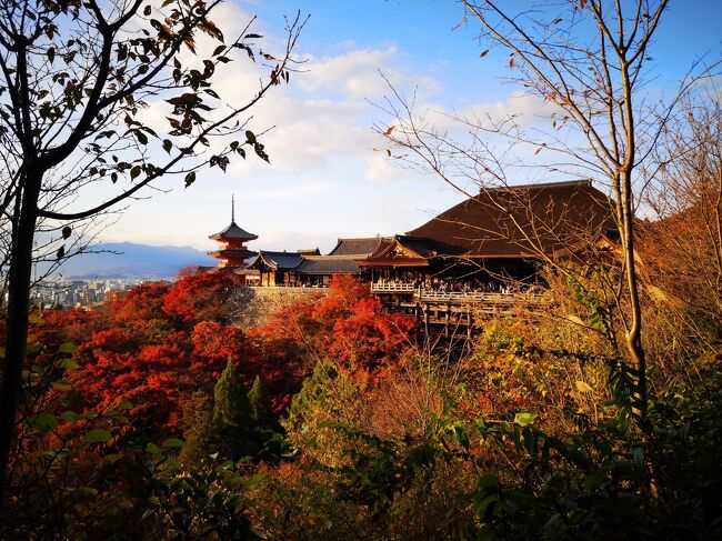 紅葉の京都を訪ねる
