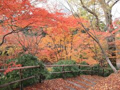 初冬の京都で散紅葉を楽しむ（前編）　～1日目は祇園界隈へ、2日目は瑠璃光院、下鴨神社、北野天満宮へ～