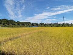 少しづつ賑わいが戻っていました。原発事故被災地を行く旅。