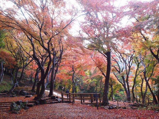 ★兵･京･阪･奈★ 近畿4県5泊6日の旅 ③ 京都編-1. 叡山電鉄に乗って『八瀬もみじの小径』を歩く