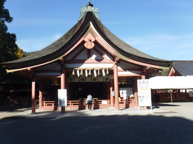小春日和に誘われて津島神社へ。その４