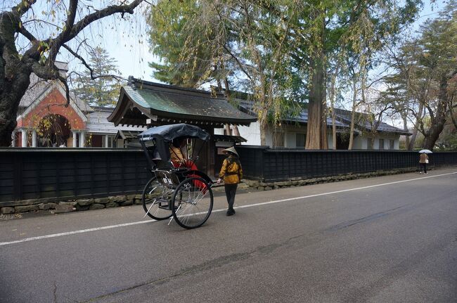 　この旅の旅行で一番行きたかった角館　重要伝統的建造物保存地区で、みちのくの小京都と呼ばれています。私の生誕地　龍野も播磨の小京都を標ぼうしており、やっとの思いで数年前に重伝建に指定されました。さすが、先輩、仙北市の力の入れ方を参考にしなければと・・・。いやいやもう現職じゃなかった。武家屋敷通りは黒塀で統一されており、風情ある街並みが再現されていました。春のシダレザクラも有名ですよね！<br />　結構、外国の方もいらっしゃり、観光客でコロナを忘れたかのような大賑わいでした。今回の旅行は3泊4日でしたけど、団体旅行の限界というのを感じました。旅というものの本質に、その土地のうまいものを食べる、その土地の見知らぬ人と触れ合うということなどがあると思うのですが、団体旅行はその点に欠けるところがあるなぁと実感したところです。次の旅の参考にしておきましょう！