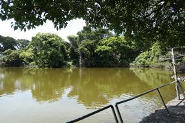 夏の伊豆長岡温泉旅♪　Vol.21 ☆大瀬崎：美しい大瀬神社・グリーン色の神池♪