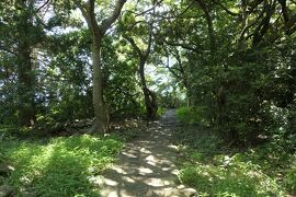 夏の伊豆長岡温泉旅♪　Vol.22 ☆大瀬崎：美しい大瀬神社・照葉樹林の森♪