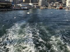 神戸の街を　山から 海から