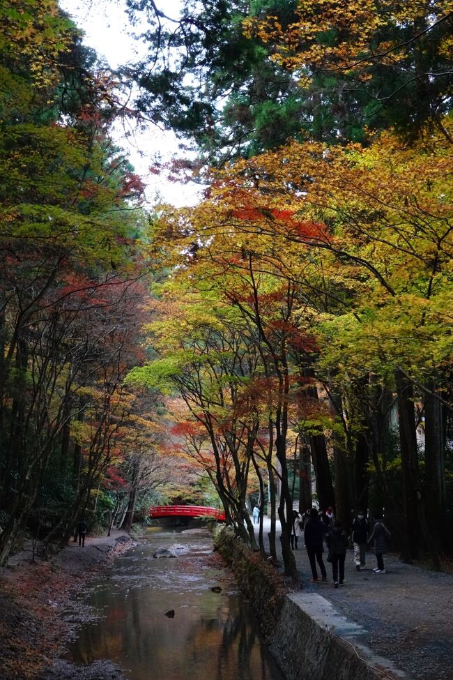 小國神社 久し振りに来ました、　ナビに沿って来たら知らない道、　ここは県内ではそれなりに有名な場所なので早めに到着、　昨日の天気では快晴だったが来てみたら曇っていた、少し気分はブルー。　　それでは