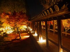 見頃を過ぎても紅葉を楽しめる、散りもみじを見る京都の旅！