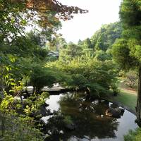 夏の伊豆長岡温泉旅♪　Vol.43 ☆伊豆長岡温泉「三養荘」：朝の美しい日本庭園　優雅な散歩♪