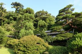 夏の伊豆長岡温泉旅♪　Vol.45 ☆伊豆長岡温泉「三養荘」：朝の美しい日本庭園　優雅な散歩♪