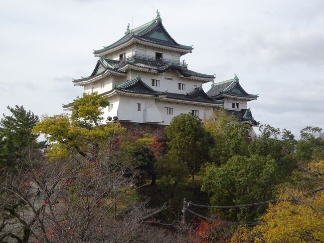今年も紅葉の時期に近畿地方に行ってきました。<br /> 紅葉だけでなく、山や滝、城やお寺・神社、そして、鉄道旅に撮り鉄。紀州北部から東播磨まで、とくとご覧あれ!<br /> ・旅程<br />1日目 東京から新幹線と特急くろしおで和歌山へ。南海電車で境泉北を周遊。<br />2日目 東播磨、加古川の滝を見、須磨浦公園とハーブ園へ登り、布引の滝も見る。あとは撮り鉄。<br />3日目 郷愁の西宮紀行2回目、広田神社と門戸厄神。そして箕面の紅葉、あと撮り鉄。<br />4日目 阪奈県境で撮り鉄。そして飛行機で成田へ直帰する。<br /> 以上。