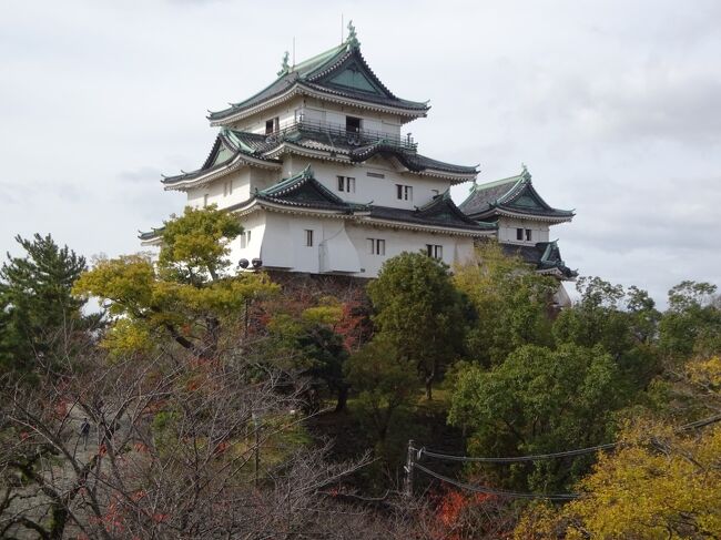 　今年も紅葉の時期に近畿地方に行ってきました。<br />　紅葉だけでなく、山や滝、城やお寺・神社、そして、鉄道旅に撮り鉄。紀州北部から東播磨まで、とくとご覧あれ！<br />　・旅程<br />1日目　東京から新幹線と特急くろしおで和歌山へ。南海電車で境泉北を周遊。<br />2日目　東播磨、加古川の滝を見、須磨浦公園とハーブ園へ登り、布引の滝も見る。あとは撮り鉄。<br />3日目　郷愁の西宮紀行2回目、広田神社と門戸厄神。そして箕面の紅葉、あと撮り鉄。<br />4日目　阪奈県境で撮り鉄。そして飛行機で成田へ直帰する。<br />　　以上。