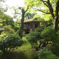 夏の伊豆長岡温泉旅♪　Vol.50 ☆伊豆長岡温泉「三養荘」：朝の美しい日本庭園　優雅な散歩♪