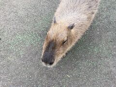 アンダの森　いっぺき湖