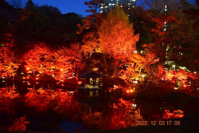 100本の紅葉を珍しい赤色LED照明が彩る紅葉ライトアップ『TOKYO RED GARDEN AUTUMN FESTIVAL 粋 2022』が開催されています。<br /><br />前編では昼間の紅葉をアップしましたが、後編は赤色LEDで自然の紅葉の赤とは違う幻想的な赤で庭園紅葉を演出、ある意味穴場のその真っ赤な絶景を見てみます。<br />今週末まで開催されていますので興味のある方は足を運んでみてはと思います。<br /><br /><br />八芳園<br />『TOKYO RED GARDEN AUTUMN FESTIVAL 粋 2022』<br />開催期間：2022年11月18日(金)～12月11日(日)<br />https://happo-en.com/event/autumn_festival2022/