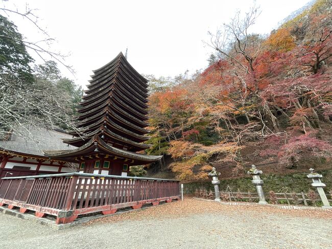 ここ何年か京都のもみじを見に行っていますが、今年は行けなかったのでピークが過ぎていることは承知で週末に行ってみました。<br /><br />大部分の有名なスポットは見頃を過ぎているだろうと、行って当日の紅葉サイトの情報でどこに行くか決めようと思ったのとモミジに満足できないリスクヘッジのため、イルミネーションを楽しもうと大阪に宿を取ることに。<br />