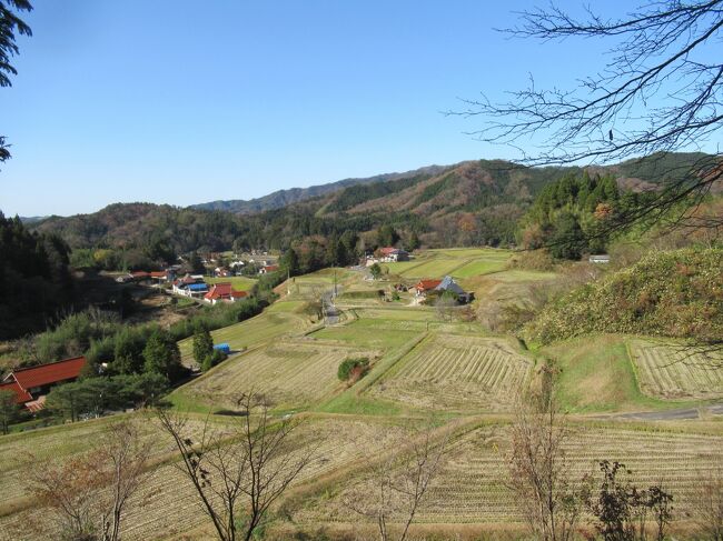 コロナの影響とは言え、2002年から通い続けていた出雲に、昨年(2021年)は、とうとう行くことができなかった!<br /><br />そういう悔しい思いも込めて、今回二泊三日の短い旅ではあったけれど、出雲の空気を吸うことが出来た!(^^)!<br />しかも猫を飼っているため、猫優先となって、遅めの出発、早めの帰宅となった。<br />ペットホテルに預けるという方法もあるが、たいていの場合、帰ってきてから動物病院直行となるため、今回は思い切って餌だけは充分に用意し、自由に家に出入りできるようにして出かけた。<br />帰宅してから一時間ほど顔を見せなかった猫くんは、戻ってきて飼い主の顔を見るや否や、今までに聞いたことのない鳴き方をした。<br />それはまるで「どこに行ってたんだよー、今回は長かったじゃないか!」と怒っているかのようだった。<br />この猫はしゃべれる!と、実感した一瞬だった(^^;)<br /><br />さて出雲旅は、日御碕灯台、奥出雲の湯野神社、金屋子神社、出雲湯村温泉、天ヶ淵、玉造温泉。。。といったところを巡った。<br />既に何度か訪れているところだが、異なった季節のその場所の様子が見られて、それなりに楽しめた。<br />岡山のトラベラー、poemyさんが津山から2時間かけて駆けつけてくれ、奥出雲の旅はいつもと趣が違って、これまた楽しいものとなった。<br />