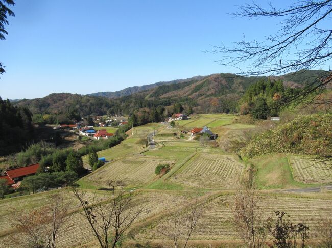 コロナの影響とは言え、2002年から通い続けていた出雲に、昨年（2021年）は、とうとう行くことができなかった！<br /><br />そういう悔しい思いも込めて、今回二泊三日の短い旅ではあったけれど、出雲の空気を吸うことが出来た!(^^)!<br />しかも猫を飼っているため、猫優先となって、遅めの出発、早めの帰宅となった。<br />ペットホテルに預けるという方法もあるが、たいていの場合、帰ってきてから動物病院直行となるため、今回は思い切って餌だけは充分に用意し、自由に家に出入りできるようにして出かけた。<br />帰宅してから一時間ほど顔を見せなかった猫くんは、戻ってきて飼い主の顔を見るや否や、今までに聞いたことのない鳴き方をした。<br />それはまるで「どこに行ってたんだよー、今回は長かったじゃないか！」と怒っているかのようだった。<br />この猫はしゃべれる！と、実感した一瞬だった(^^;)<br /><br />さて出雲旅は、日御碕灯台、奥出雲の湯野神社、金屋子神社、出雲湯村温泉、天ヶ淵、玉造温泉。。。といったところを巡った。<br />既に何度か訪れているところだが、異なった季節のその場所の様子が見られて、それなりに楽しめた。<br />岡山のトラベラー、poemyさんが津山から２時間かけて駆けつけてくれ、奥出雲の旅はいつもと趣が違って、これまた楽しいものとなった。<br />