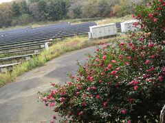 震生湖脇の太陽光発電所