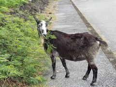 初めての宮古島&#11088;︎3泊4日　アラフィフ夫婦＋息子3日目