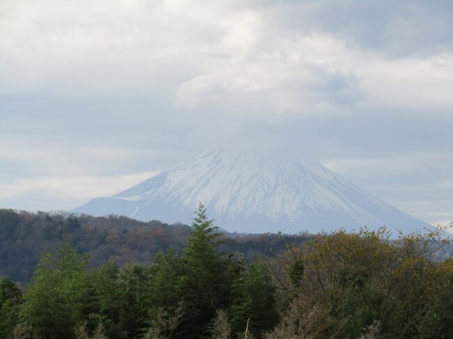 　富士山のビュースポットには道標が立っており、ここから畑の下へ降りる道路がある。ハイキングコース（澁沢丘陵・震雨生湖コース）だ。午後になっても富士山の眺めはそれほどは悪化しない。それでも午前中は頭が雲の下に出ていたが、午後になった今は頭が雲の中に入ってしまった。<br />　午後になっても下から上って来る人がぽつりぽつりといる。1人で上って来る男性とすれ違ったので近道を教えてあげた。道路沿いの坂道から道があるが、その法面を上ると丘の上の平地の畑の中の道があるのだ。しかし、こうした法面の畑の中の道路が必ずしも丘の上の畑にまで通じているとは限らないから注意が必要だ。<br />　畑の中7には山菜畑もある。また、椿が植えられており、そのついている蕾の何と多いこと。何輪かは開花している。<br />　麓には墓地があり、垣根に山茶花が植えられている。<br />　坂道を下り切ると白笹稲荷入口の交差点で、下からソメイヨシノであろう、桜並木が続いている。<br />（表紙写真は頭が雲に隠れた富士山）