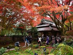 今まで見た紅葉で､最も鮮やかな教林坊様、胡宮神社にもお詣りしました