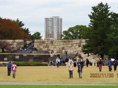 皇居・乾通りを歩きました⑤東御苑の本丸～果樹古品種園～野草の島