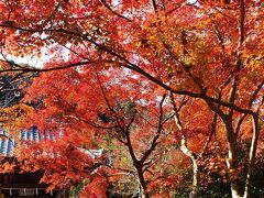 2022年紅葉巡り･亀岡鍬山神社(1回目)