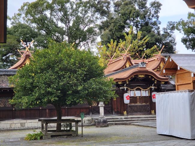 京都伏見稲荷参拝から昼食、そうして桜で有名な平野神社の正式参拝に向かいました。<br />何処かで桜が咲いているので有名です。<br />京都を襲った台風で本殿が倒壊、やっと本殿が完成しました。