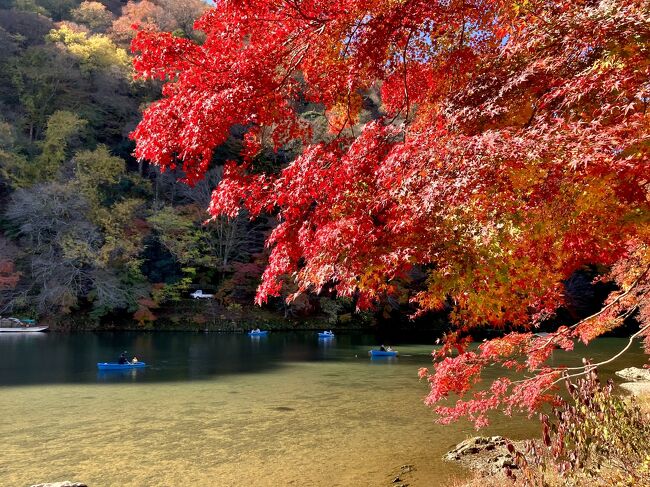11月23日~26日で神戸ちょこっと京都で紅葉ホッピングを堪能して来ました。。<br /><br />今回は3日目朝から清水寺をスタートして東山を紅葉ホッピングした続きになります。。<br />太秦天神川駅から嵐電で嵐山へ到着して、ランチまで少し時間があったので、渡月橋を渡ってみました。。<br />対岸でのんびり過ごして、もう一度渡月橋を渡って戻ってテクテクと保津川沿いを歩いてランチのお店へ。。<br />時間少し前に入ると、予約の時に満席だった保津川沿いの窓側席以上のお部屋を案内されてビックリ!!とてもラッキーでした☆彡<br />ランチ後はテクテク竹林を歩いて天龍寺から宝厳院へ紅葉ホッピング♪<br />トロッコまでの時間までCaféで休憩しました。。<br />宝厳院の紅葉を短い動画に収めたので、雰囲気を感じて頂ければと思います。<br /><br />今回も紅葉&グルメの纏まりの無い旅行記で写真も多いので流してみて下さい、最後までお付き合い頂けると嬉しいです♪