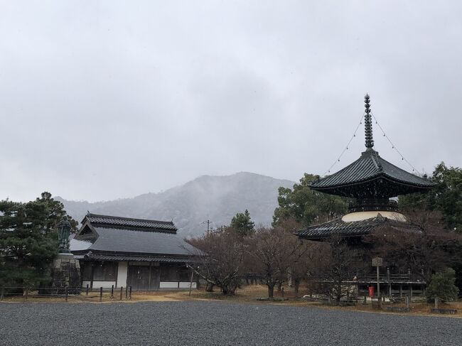 大晦日(2021年）に、京都・嵐山を訪ねました。<br /><br />はからずも雪が降って、雪の嵐山を楽しむことができました。