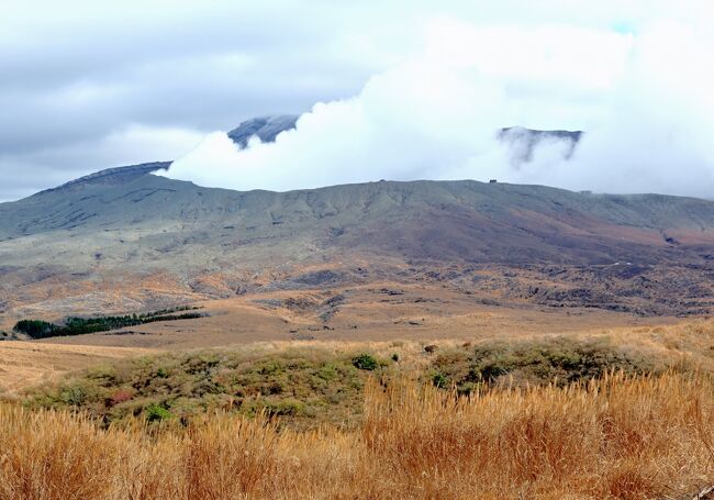 熊本、鹿児島の城めぐりの最終日、熊本城を訪れた後阿蘇山に向かう。草千里は気温１～２℃と寒い。