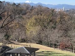 桜が丘公園