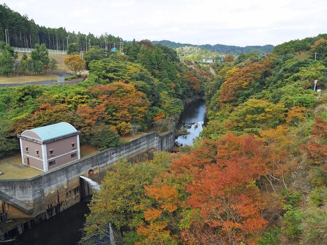 千葉の公園で１日のんびり＆車中泊、翌日買い物をして帰ろうと計画していましたが、ふっとみると「全国旅行支援」の千葉県クーポンが復活している！？と急遽一泊追加（笑）結局、それなりの旅行になりました(*´σｰ｀)ｴﾍﾍ<br /><br /><br />【旅程】<br />〈１日目〉<br />・海ほたるPA<br />・亀山湖（亀山ダム）<br />・ヅウタ親水公園<br />・道の駅 ふれあいパーク・きみつ<br />・お食事処 山もも<br />・里のMUJI みんなみの里<br />・千葉県酪農のさと<br />・道の駅きょなん<br /><br />〈２日目〉<br />・道の駅きょなん<br />・浜の味 栄丸<br />・勝山港（舟藤堤防）<br />・西ヶ崎<br />・道の駅 とみうら枇杷倶楽部<br />・民宿おしなや<br /><br />〈３日目〉<br />・買い物<br />・帰宅の途へ<br /><br />【旅行記】<br />〈１〉君津のダム散策＆山ももランチ。イッヌとヤッギに癒やされた（笑）<br />https://4travel.jp/travelogue/11796570<br />〈２〉今度は鋸南でのんびり～海がキレイで気持ちがいい♪ 全国旅行支援で宿泊も(^o^)<br />https://4travel.jp/travelogue/11798628