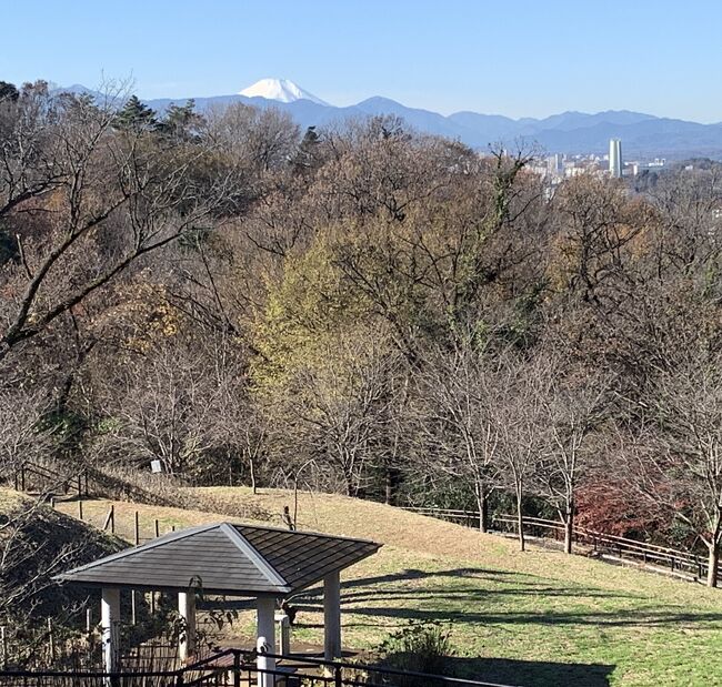 聖蹟桜が丘駅の由来となっている桜が丘公園を歩く。