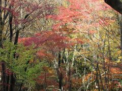 雹留山・二条城　観紅葉